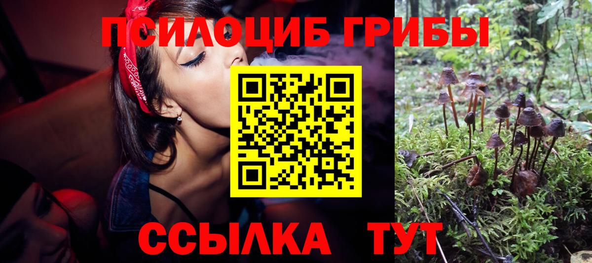 Псилоцибиновые грибы прущие грибы  Псилоцибиновые грибы GOLDEN TEACHER  Уварово  Вход с VPN 